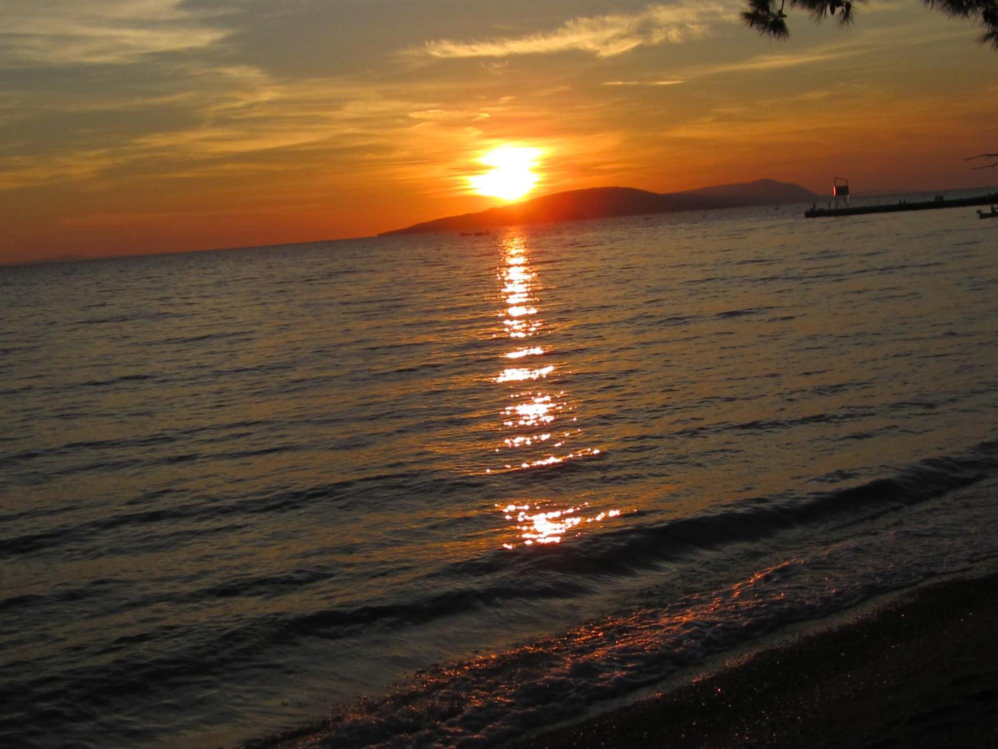Jagoda Apartments Zaostrog Dış mekan fotoğraf
